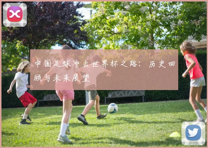 中国足球冲击世界杯之路：历史回顾与未来展望
