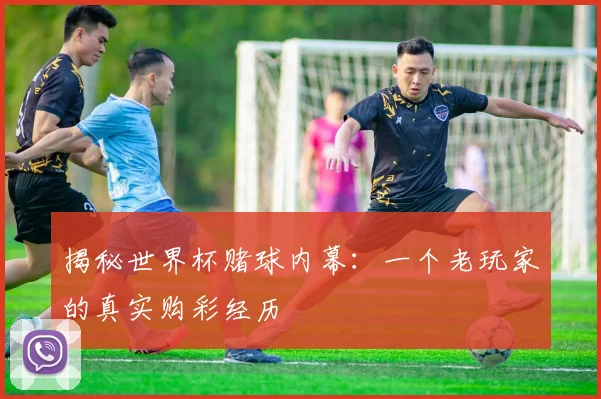 揭秘世界杯赌球内幕：一个老玩家的真实购彩经历